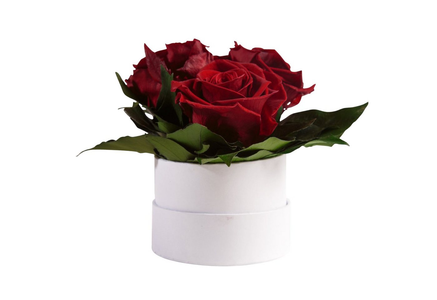 Kunstblume Infinity Rosenbox weiß rund 3 echte Rosen konserviert Rose, ROSEMARIE SCHULZ Heidelberg, Höhe 10 cm, Geschenk für Sie Rosen von ROSEMARIE SCHULZ Heidelberg