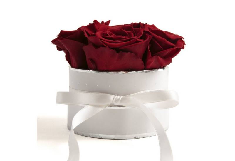 Kunstblume Rosenbox weiß rund 4 Infinity Rosen inklusiv Geschenkbox Rose, ROSEMARIE SCHULZ Heidelberg, Höhe 10 cm, echte Rosen haltbar 3 Jahre, Made in Germany von ROSEMARIE SCHULZ Heidelberg