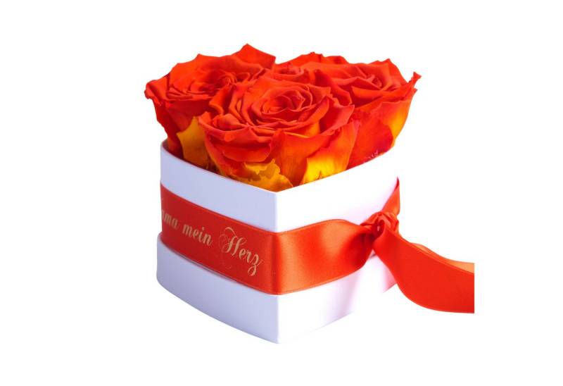 Kunstblume Mama Geschenk Du bist mein Herz Rosenbox Geschenkbox 3 Infinity Rosen Rose, ROSEMARIE SCHULZ Heidelberg, Höhe 10 cm, echte Blumen 3 Jahre haltbar von ROSEMARIE SCHULZ Heidelberg