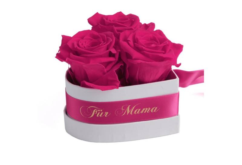 Kunstblume Rosenbox Herz 3 Infinity Rosen Mama, ich hab Dich lieb Geschenk Rose, ROSEMARIE SCHULZ Heidelberg, Höhe 10 cm, echte Rosen haltbar bis zu 3 Jahre, Made in Germany von ROSEMARIE SCHULZ Heidelberg