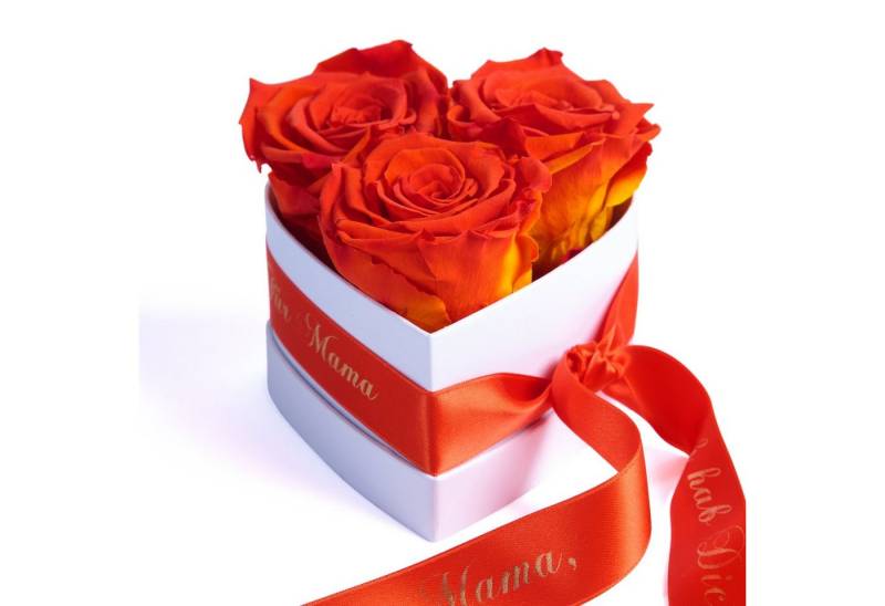 Kunstblume Rosenbox Herz 3 Infinity Rosen Mama, ich hab Dich lieb Geschenk Rose, ROSEMARIE SCHULZ Heidelberg, Höhe 10 cm, echte Rosen haltbar bis zu 3 Jahre, Made in Germany von ROSEMARIE SCHULZ Heidelberg