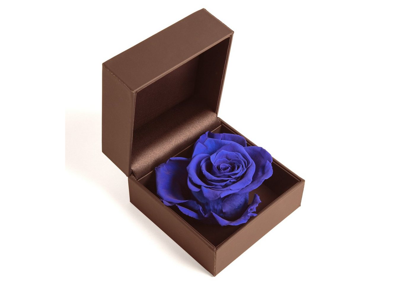 Kunstblume Rosenbox Ringbox Groß Infinity Rose konserviert in Box Ringdose Rose, ROSEMARIE SCHULZ Heidelberg, Höhe 9 cm, Langlebige Rose, Made in Germany Kunstblume Rosenbox Ringbox Groß Infinity Rose konserviert in Box Ringdose Rose, ROSEMARIE SCHULZ Heidelberg, Höhe 9 cm, Langlebige Rose, Made in Germany von ROSEMARIE SCHULZ Heidelberg