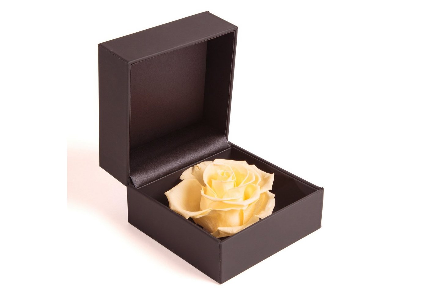 Kunstblume Rosenbox Ringbox Groß Infinity Rose konserviert in Box Ringdose Rose, ROSEMARIE SCHULZ Heidelberg, Höhe 9 cm, Langlebige Rose von ROSEMARIE SCHULZ Heidelberg