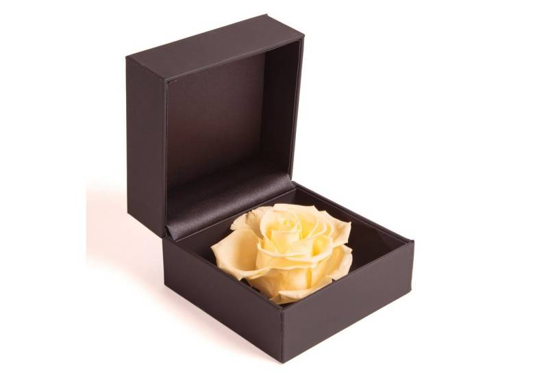 Kunstblume Rosenbox Ringbox Groß Infinity Rose konserviert in Box Ringdose Rose, ROSEMARIE SCHULZ Heidelberg, Höhe 9 cm, Langlebige Rose, Made in Germany von ROSEMARIE SCHULZ Heidelberg