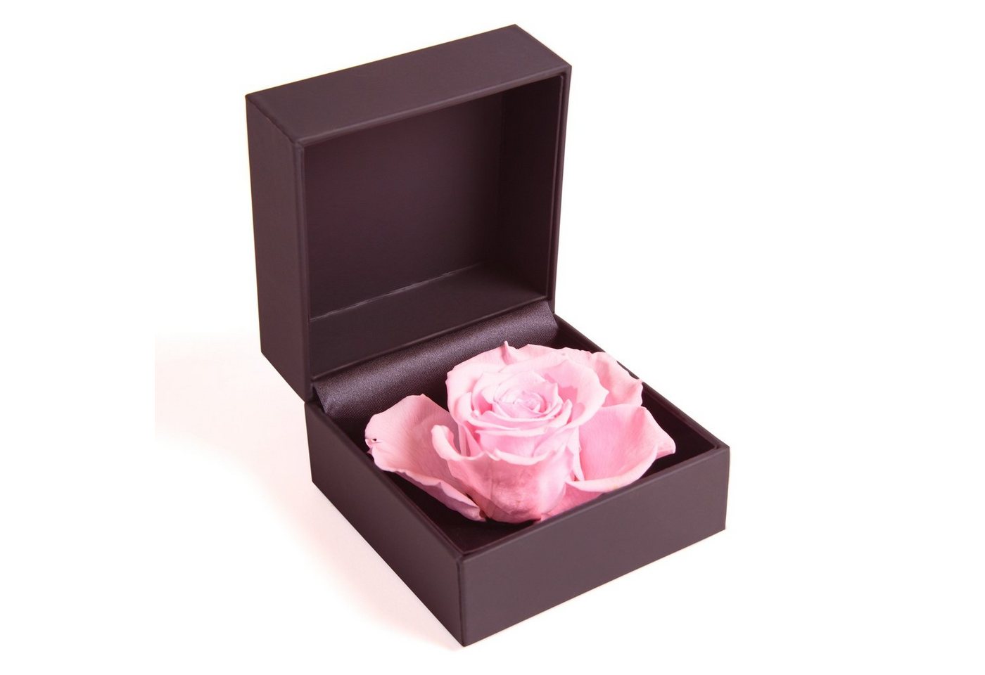 Kunstblume Rosenbox Ringbox Groß Infinity Rose konserviert in Box Ringdose Rose, ROSEMARIE SCHULZ Heidelberg, Höhe 9 cm, Langlebige Rose von ROSEMARIE SCHULZ Heidelberg