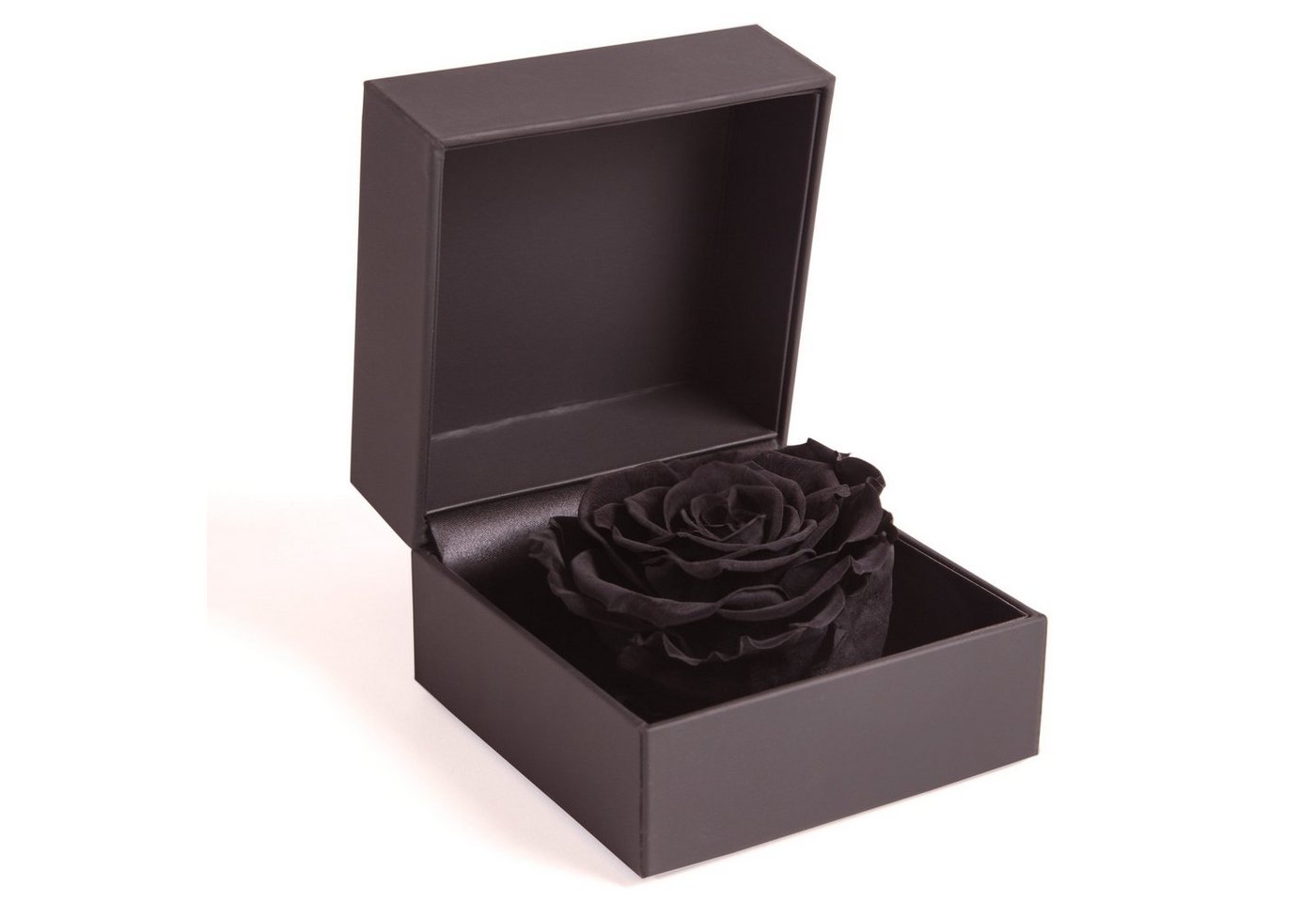 Kunstblume Rosenbox Ringbox Groß Infinity Rose konserviert in Box Ringdose Rose, ROSEMARIE SCHULZ Heidelberg, Höhe 9 cm, Langlebige Rose von ROSEMARIE SCHULZ Heidelberg