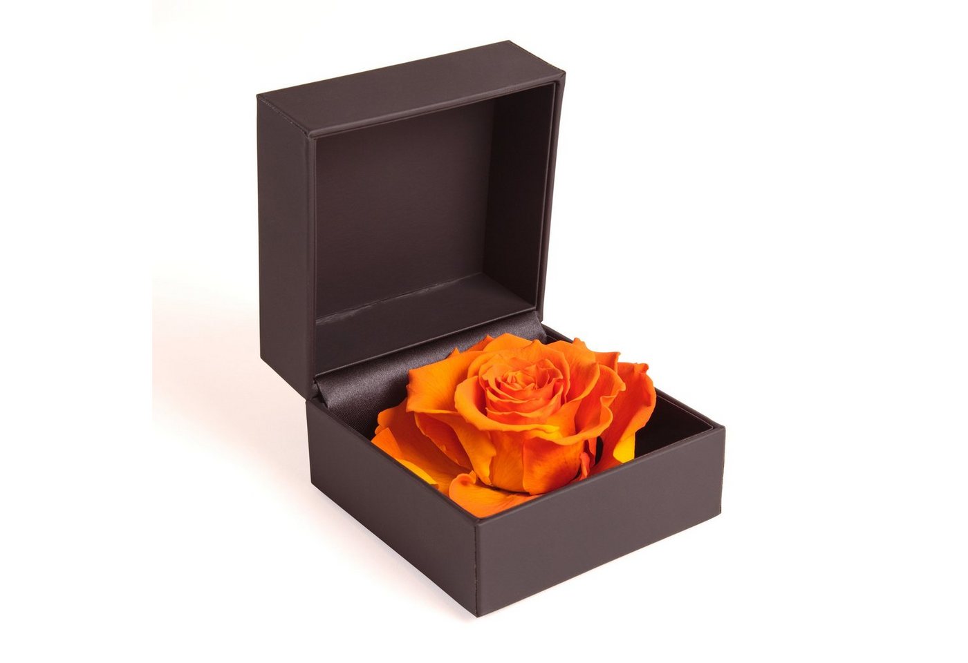 Kunstblume Rosenbox Ringbox Groß Infinity Rose konserviert in Box Ringdose Rose, ROSEMARIE SCHULZ Heidelberg, Höhe 9 cm, Langlebige Rose von ROSEMARIE SCHULZ Heidelberg