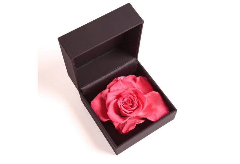 Kunstblume Ringbox 1 Infinity Rose groß konserviert in Box Ringdose Rose, ROSEMARIE SCHULZ Heidelberg, Höhe 9 cm, Langlebige Rose, Made in Germany von ROSEMARIE SCHULZ Heidelberg