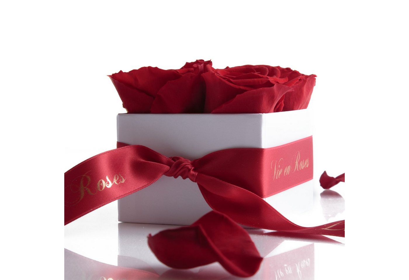 Kunstblume Rosenbox weiß Infinity Rosen Poesie Deko Geschenk für Damen Rose, ROSEMARIE SCHULZ Heidelberg, Höhe 8.5 cm, für Frauen zum Valentinstag von ROSEMARIE SCHULZ Heidelberg