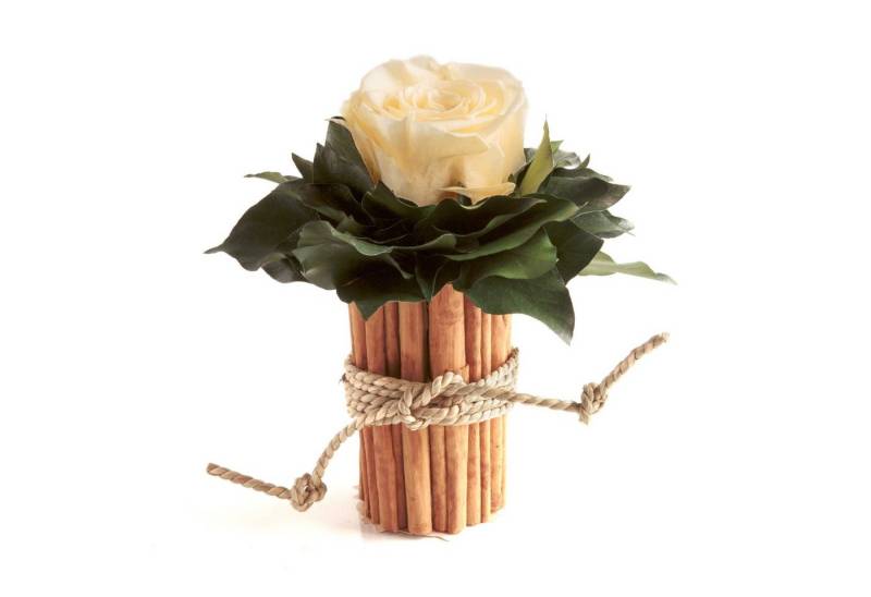 Kunstblumenstrauß Blumenstrauß Zimtbecher Infinity Rosen Blumengesteck, ROSEMARIE SCHULZ Heidelberg, Höhe 15 cm, Infinity Rosen, Made in Germany Kunstblumenstrauß Blumenstrauß Zimtbecher Infinity Rosen Blumengesteck, ROSEMARIE SCHULZ Heidelberg, Höhe 15 cm, Infinity Rosen, Made in Germany von ROSEMARIE SCHULZ Heidelberg