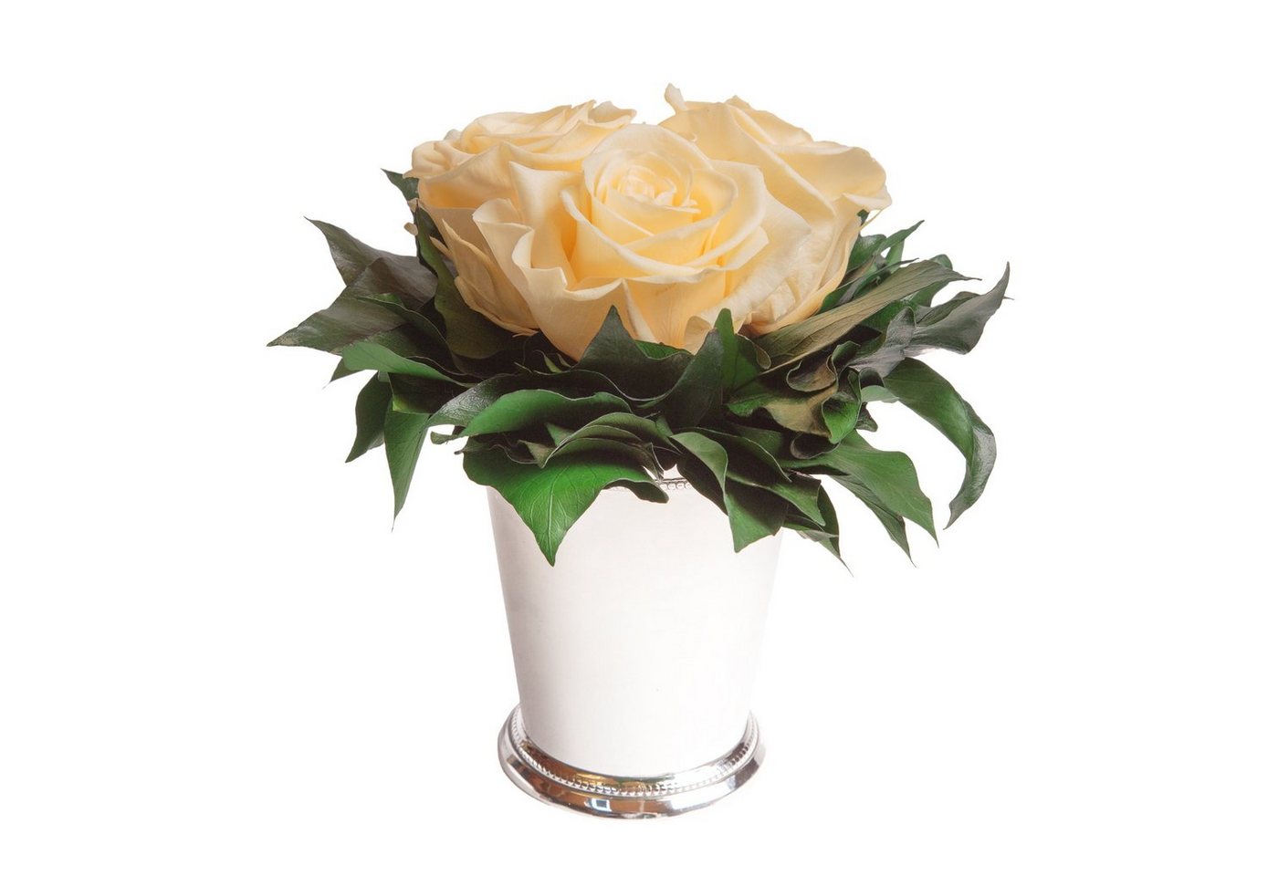 Kunstorchidee 3 Infinity Rosen silberfarbene Vase Wohnzimmer Deko Blumenstrauß Rose, ROSEMARIE SCHULZ Heidelberg, Höhe 15 cm, Rose haltbar bis zu 3 Jahre, Made in Germany Kunstorchidee 3 Infinity Rosen silberfarbene Vase Wohnzimmer Deko Blumenstrauß Rose, ROSEMARIE SCHULZ Heidelberg, Höhe 15 cm, Rose haltbar bis zu 3 Jahre, Made in Germany von ROSEMARIE SCHULZ Heidelberg