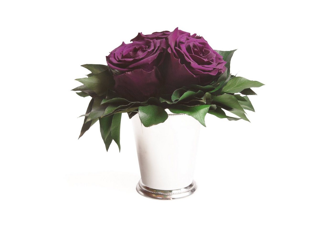 Kunstorchidee 3 Infinity Rosen silberfarbene Vase Wohnzimmer Deko Blumenstrauß Rose, ROSEMARIE SCHULZ Heidelberg, Höhe 15 cm, Rose haltbar bis zu 3 Jahre, Made in Germany Kunstorchidee 3 Infinity Rosen silberfarbene Vase Wohnzimmer Deko Blumenstrauß Rose, ROSEMARIE SCHULZ Heidelberg, Höhe 15 cm, Rose haltbar bis zu 3 Jahre, Made in Germany von ROSEMARIE SCHULZ Heidelberg
