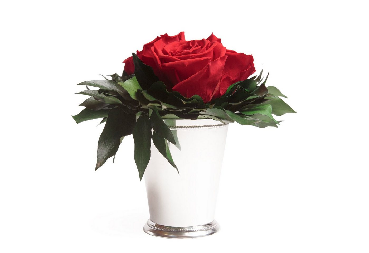Kunstorchidee 3 Infinity Rosen silberfarbene Vase Wohnzimmer Deko Blumenstrauß Rose, ROSEMARIE SCHULZ Heidelberg, Höhe 15 cm, Rose haltbar bis zu 3 Jahre, Made in Germany Kunstorchidee 3 Infinity Rosen silberfarbene Vase Wohnzimmer Deko Blumenstrauß Rose, ROSEMARIE SCHULZ Heidelberg, Höhe 15 cm, Rose haltbar bis zu 3 Jahre, Made in Germany von ROSEMARIE SCHULZ Heidelberg
