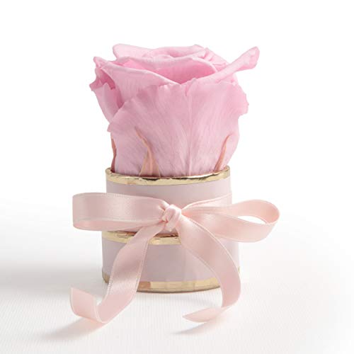 ROSEMARIE SCHULZ Heidelberg Kleine Rosenbox rosa rund Infinity Rose - Blumenbox 1 echte Blume konserviert haltbar 3 Jahre Höhe ca. 8 cm - keines Geschenk für Frauen (Rosa-Rosa) von ROSEMARIE SCHULZ Heidelberg