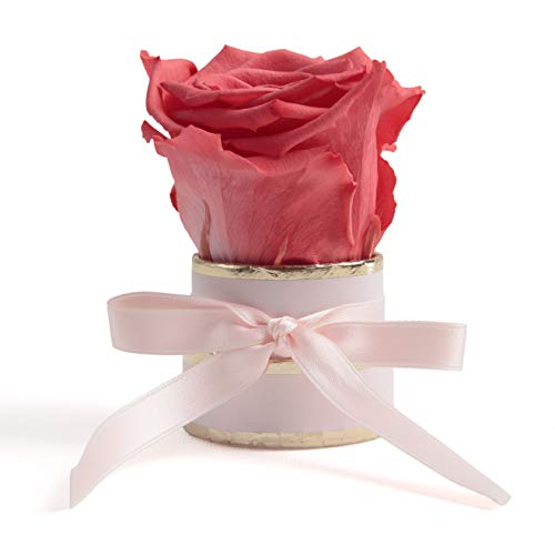 ROSEMARIE SCHULZ Heidelberg Kleine Rosenbox weiß rund Infinity Rose - Blumenbox 1 konservierte Rose (Rosa-Korall) von ROSEMARIE SCHULZ Heidelberg