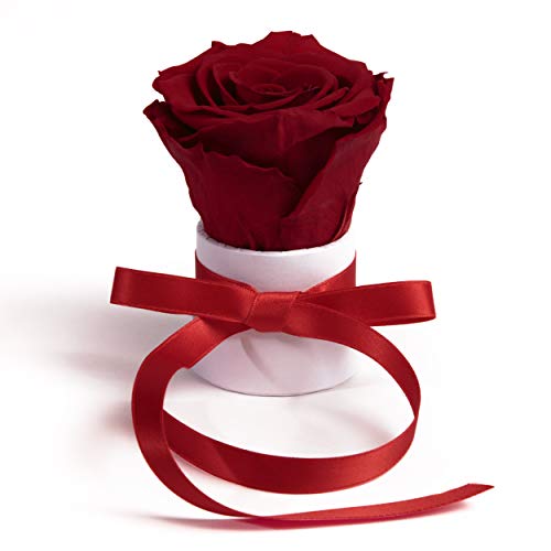 ROSEMARIE SCHULZ Heidelberg Kleine Rosenbox weiß rund Infinity Rose - Blumenbox 1 echte Blume konserviert haltbar 3 Jahre Höhe ca. 8 cm - keines Geschenk für Frauen (Weiß-Dunkelrot) von ROSEMARIE SCHULZ Heidelberg