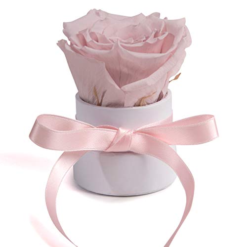 ROSEMARIE SCHULZ Heidelberg Kleine Rosenbox weiß rund Infinity Rose - Blumenbox 1 echte Blume konserviert haltbar 3 Jahre Höhe ca. 8 cm - keines Geschenk für Frauen (Weiß-Rosa) von ROSEMARIE SCHULZ Heidelberg