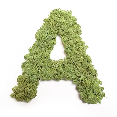 Moosbuchstabe Islandmoos ABC Buchstaben mit Moos (A, 30 cm) von ROSEMARIE SCHULZ Heidelberg