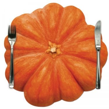 Rosemarie Schulz® 6 Tischsets und 6 Glasuntersetzer Orange rund Motiv Kürbis Platzsets von ROSEMARIE SCHULZ Heidelberg