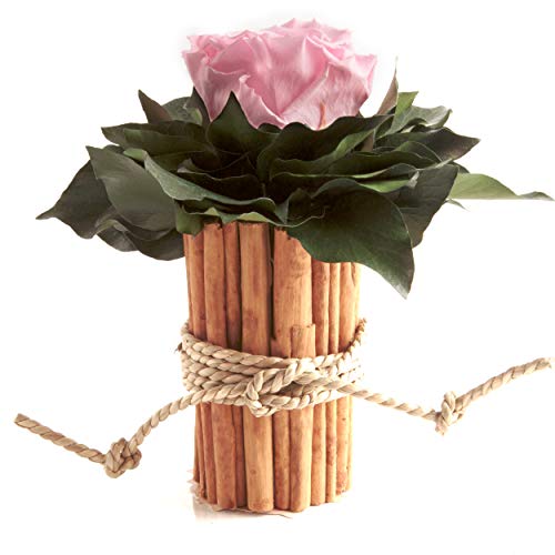 ROSEMARIE SCHULZ Heidelberg 1 Ewige Rose Rose Vase Zimtstangen unvergängliche Blume haltbar 3 Jahre (Rosa) von ROSEMARIE SCHULZ Heidelberg