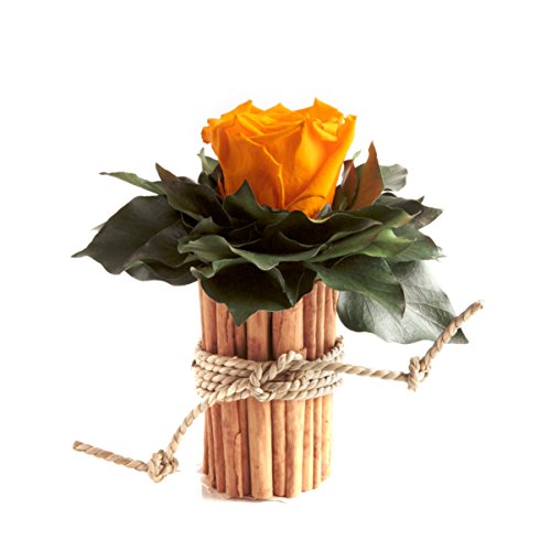 ROSEMARIE SCHULZ Heidelberg 1 Ewige Rose gelb Vase Zimtstangen Rosenbox konserviert Landhaus Deko (Gelb) von ROSEMARIE SCHULZ Heidelberg
