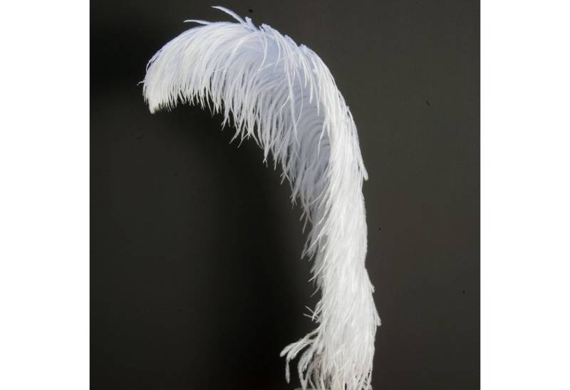 ROSEMARIE SCHULZ Heidelberg Bastelfedern 1 Straußenfeder 60-70cm lang Dekofeder Karneval Massage Hochzeit, extra lange Feder 60-70 cm von ROSEMARIE SCHULZ Heidelberg