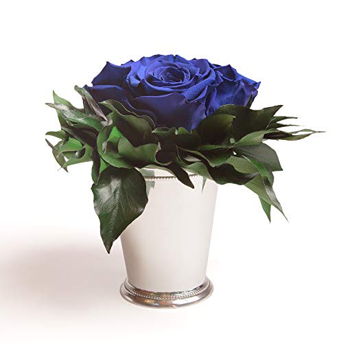 ROSEMARIE SCHULZ Heidelberg Blaue Infinity Rosen in silberfarbenen Becher 3 konservierte Rosen Blumendeko langhaltend (Blau, 3 Rosen) von ROSEMARIE SCHULZ Heidelberg