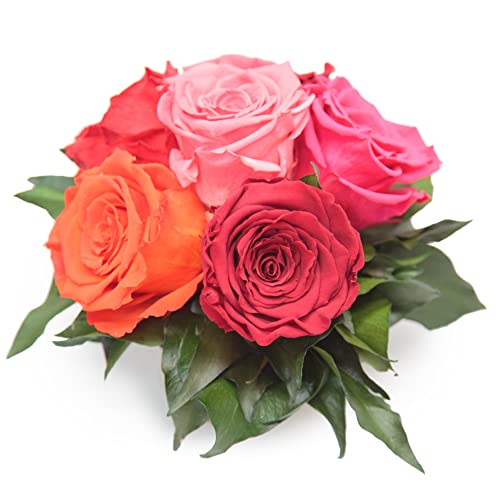 Blumengesteck Infinity Rosenbox 6 rotgemischte Rosen und Efeublätter - 3 Jahre haltbar von ROSEMARIE SCHULZ Heidelberg