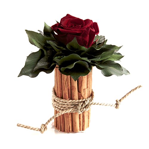 ROSEMARIE SCHULZ Heidelberg Blumengesteck mit Zimtbecher und 1 Rose konserviert haltbar 3 Jahre Rosengesteck/Blumengesteck/Landhaus/Weihnachten/Tisch (Dunkelrot) von ROSEMARIE SCHULZ Heidelberg