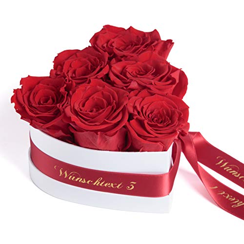 ROSEMARIE SCHULZ Heidelberg Blumenherz Infinity Rosenbox Herz mit WUNSCHTEXT personalisiert und konservierte Rosen Liebeserklärung Geschenk für Frauen (Wunschtext, Rot) von ROSEMARIE SCHULZ Heidelberg