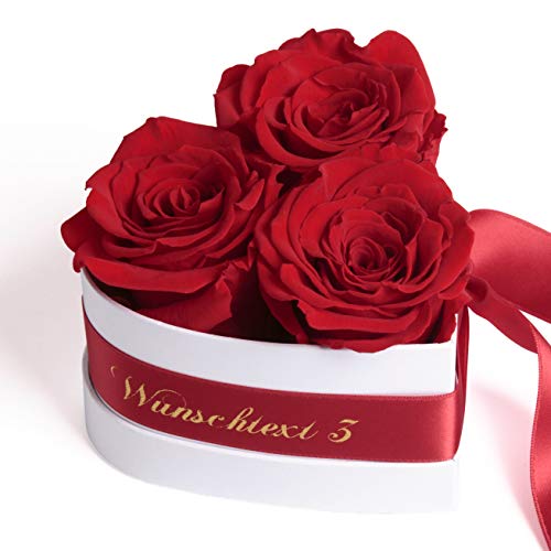 ROSEMARIE SCHULZ Heidelberg Infinity Rosenbox Herz Widmung personalisiert - 3 ewige Rosen rot in Box 10x12cm haltbar 3 Jahre - persönliche Frauen Geschenke (Wunschtext, Rot) von ROSEMARIE SCHULZ Heidelberg