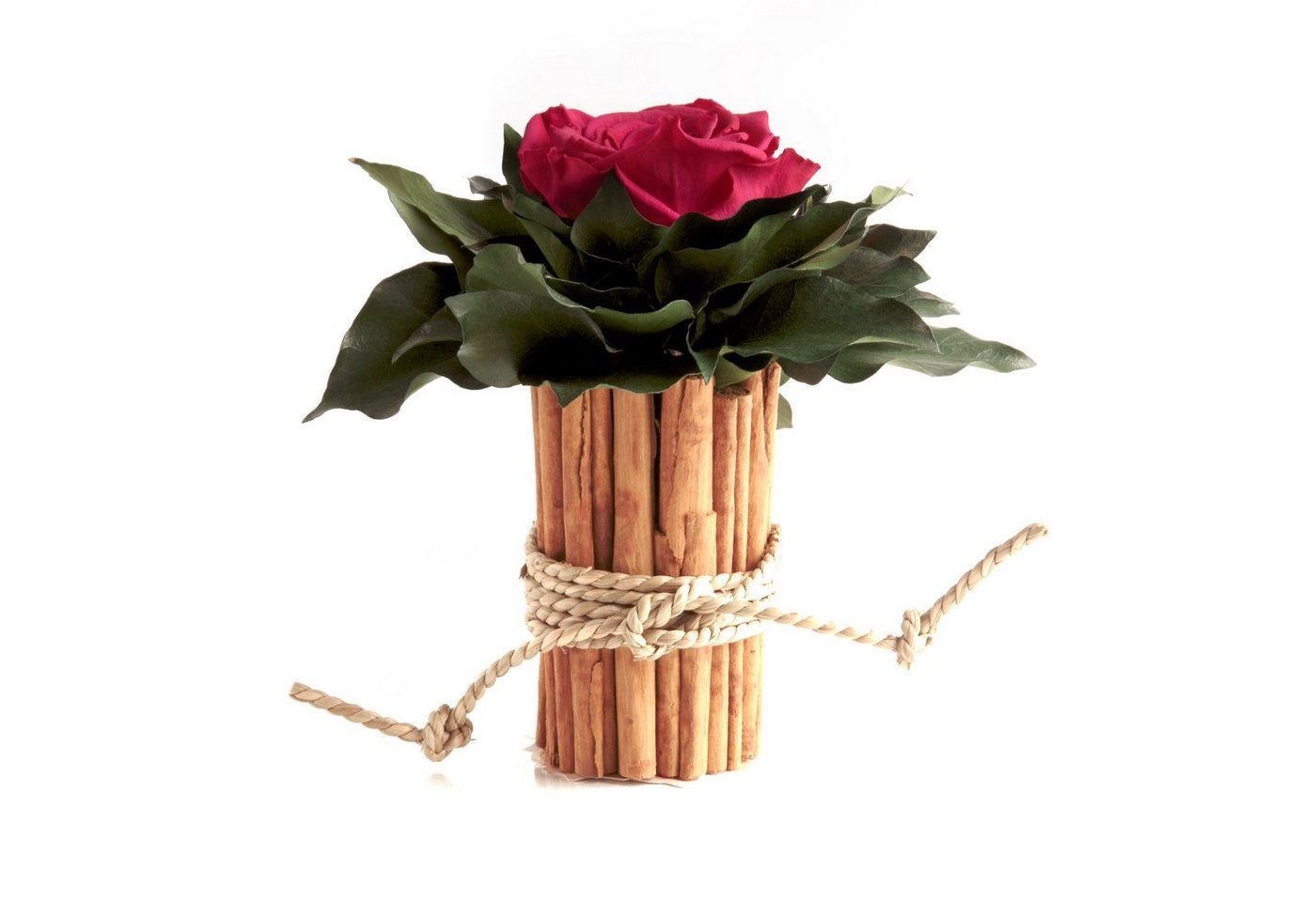 Kunstblumenstrauß Blumenstrauß Zimtbecher Infinity Rosen Kunstpflanze, ROSEMARIE SCHULZ Heidelberg, Höhe 15 cm, Infinity Rosen, Made in Germany von ROSEMARIE SCHULZ Heidelberg
