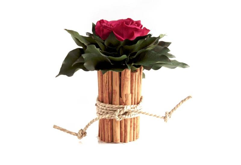 Kunstblumenstrauß Blumenstrauß Zimtbecher Infinity Rosen Kunstpflanze, ROSEMARIE SCHULZ Heidelberg, Höhe 15 cm, Infinity Rosen, Made in Germany von ROSEMARIE SCHULZ Heidelberg