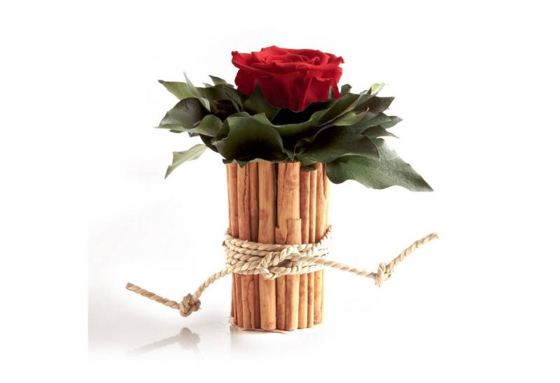 Kunstblumenstrauß Blumenstrauß Zimtbecher Infinity Rosen Blumengesteck, ROSEMARIE SCHULZ Heidelberg, Höhe 15 cm, Infinity Rosen, Made in Germany Kunstblumenstrauß Blumenstrauß Zimtbecher Infinity Rosen Blumengesteck, ROSEMARIE SCHULZ Heidelberg, Höhe 15 cm, Infinity Rosen, Made in Germany von ROSEMARIE SCHULZ Heidelberg