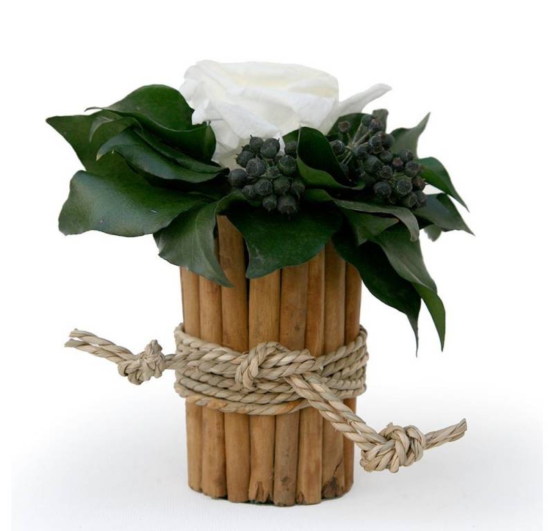 Kunstblumenstrauß Blumenstrauß Zimtbecher Infinity Rosen Blumengesteck, ROSEMARIE SCHULZ Heidelberg, Höhe 15 cm, Infinity Rosen, Made in Germany Kunstblumenstrauß Blumenstrauß Zimtbecher Infinity Rosen Blumengesteck, ROSEMARIE SCHULZ Heidelberg, Höhe 15 cm, Infinity Rosen, Made in Germany von ROSEMARIE SCHULZ Heidelberg