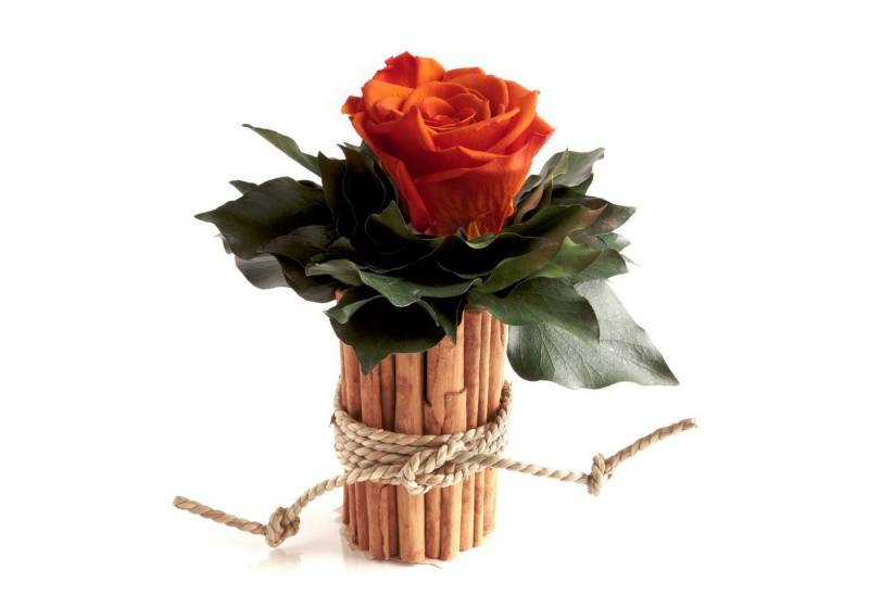 Kunstblumenstrauß Blumenstrauß Zimtbecher Infinity Rosen Kunstpflanze, ROSEMARIE SCHULZ Heidelberg, Höhe 15 cm, Infinity Rosen, Made in Germany von ROSEMARIE SCHULZ Heidelberg