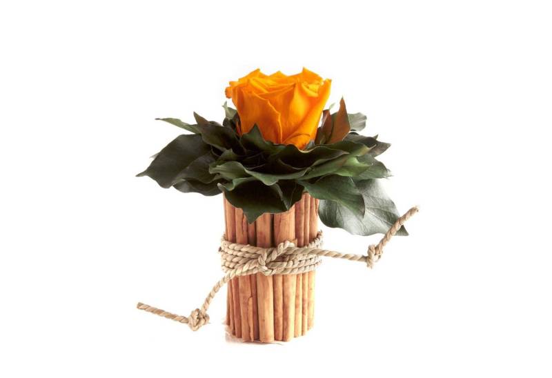 Kunstblumenstrauß Blumenstrauß Zimtbecher Infinity Rosen Kunstpflanze, ROSEMARIE SCHULZ Heidelberg, Höhe 15 cm, Infinity Rosen, Made in Germany von ROSEMARIE SCHULZ Heidelberg