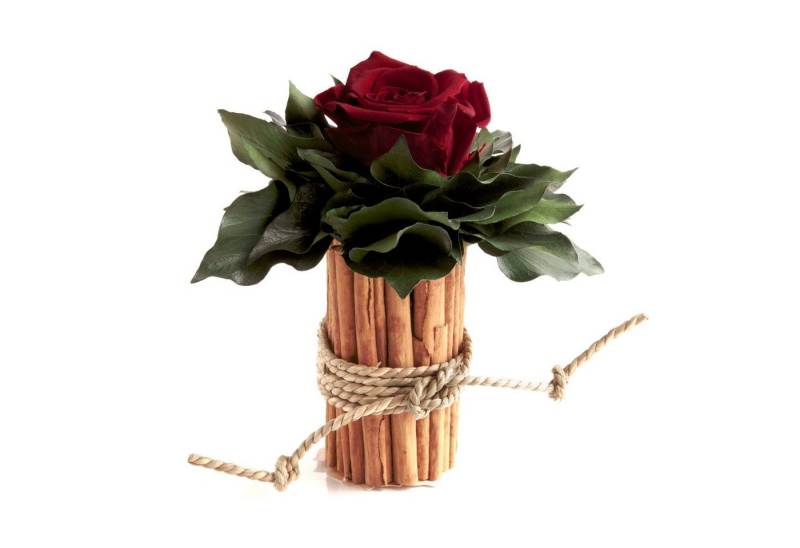 Kunstblumenstrauß Blumenstrauß Zimtbecher Infinity Rosen Kunstpflanze, ROSEMARIE SCHULZ Heidelberg, Höhe 15 cm, Infinity Rosen, Made in Germany von ROSEMARIE SCHULZ Heidelberg