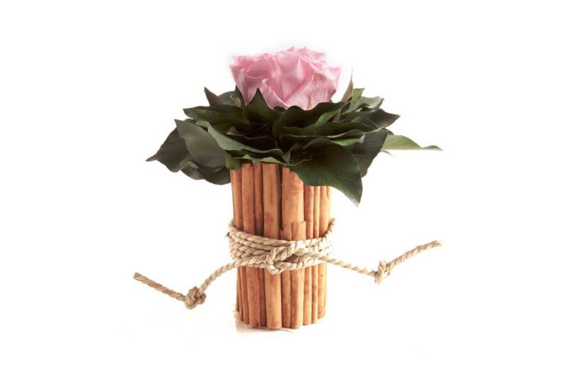 Kunstblumenstrauß Blumenstrauß Zimtbecher Infinity Rosen Blumengesteck, ROSEMARIE SCHULZ Heidelberg, Höhe 15 cm, Infinity Rosen, Made in Germany von ROSEMARIE SCHULZ Heidelberg