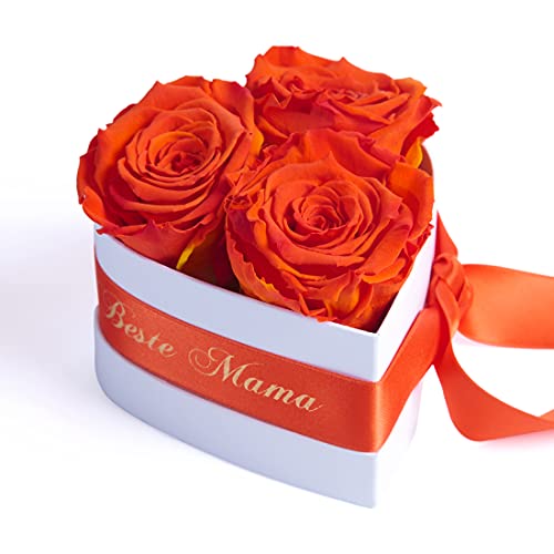 ROSEMARIE SCHULZ Heidelberg Für die Beste Mama der Welt 3 Infinity Rosen Herzbox zum Muttertag Geburtstag (Orange, 3 Rosen Für die Beste Mama der Welt) von ROSEMARIE SCHULZ Heidelberg
