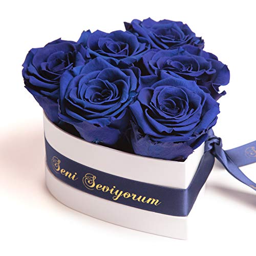 ROSEMARIE SCHULZ Heidelberg Herz Box Infinity konservierte Rosen in Dose Geschenk für Frauen (Seni Seviyorum, Blau) von ROSEMARIE SCHULZ Heidelberg