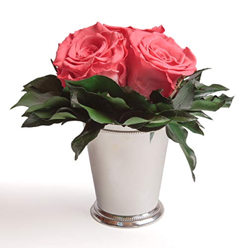 ROSEMARIE SCHULZ Heidelberg Infinity Blume in Becher silberfarben 3 langhaltende Rose konserviert Rosenbox (Koralle, 3 Rosen) von ROSEMARIE SCHULZ Heidelberg