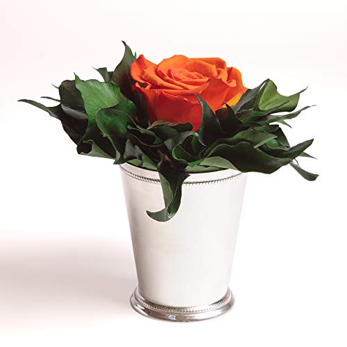 ROSEMARIE SCHULZ Heidelberg Infinity Blume in silberfarbenen Becher 1 ewige Rose konserviert Blumenstrauß langhaltend (Orange, 1 Rose) von ROSEMARIE SCHULZ Heidelberg