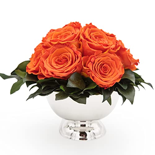 ROSEMARIE SCHULZ Heidelberg Infinity Blume in silberfarbenen Becher ewige Rose konserviert Blumenstrauß langhaltend (Orange, 11 Rosen) von ROSEMARIE SCHULZ Heidelberg