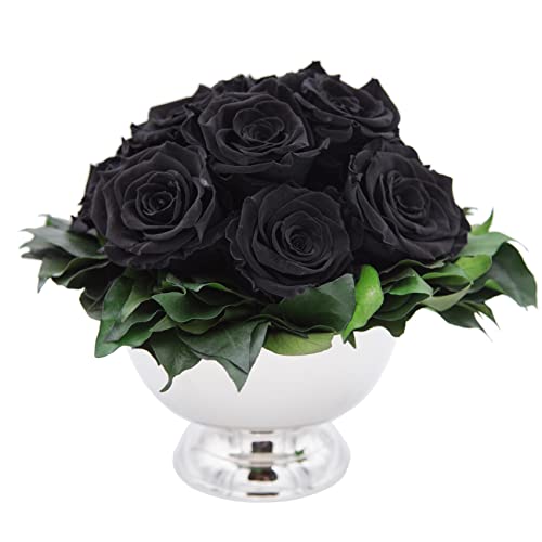 ROSEMARIE SCHULZ Heidelberg Infinity Blume in silberfarbenen Becher ewige Rose konserviert Blumenstrauß langhaltend (Schwarz, 11 Rosen) von ROSEMARIE SCHULZ Heidelberg