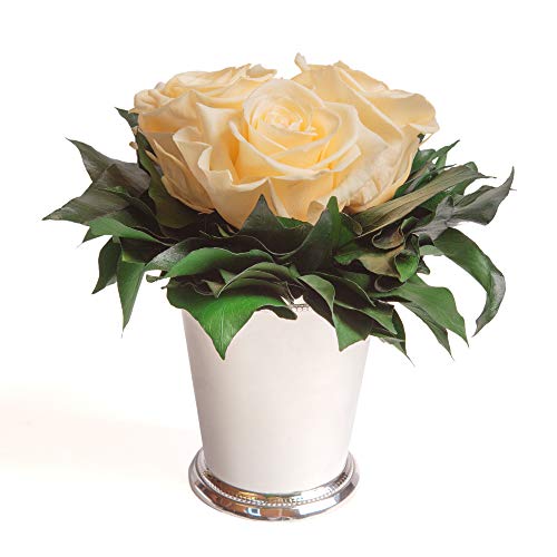 ROSEMARIE SCHULZ Heidelberg Infinity Blumen in silberfarbenen Becher 3 konservierte Rosen konserviert Blumenstrauß langhaltend (Beige, 3 Rosen) von ROSEMARIE SCHULZ Heidelberg