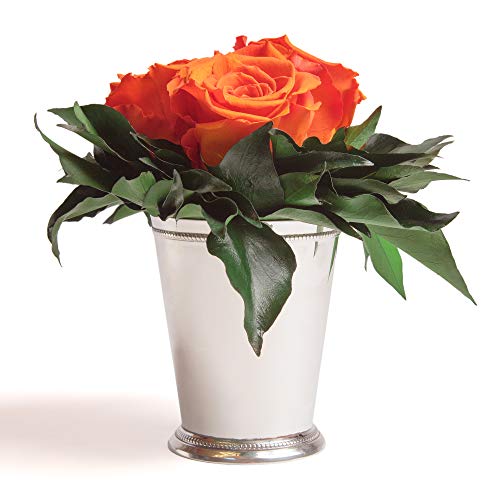 ROSEMARIE SCHULZ Heidelberg Infinity Blumen in silberfarbenen Becher 3 konservierte Rosen langhaltend (Orange, 3 Rosen) von ROSEMARIE SCHULZ Heidelberg