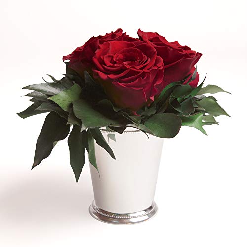 ROSEMARIE SCHULZ Heidelberg Infinity Blumen in silberfarbenen Becher 3 konservierte Rosen langhaltende Blumendeko (Burgundy, 3 Rosen) von ROSEMARIE SCHULZ Heidelberg