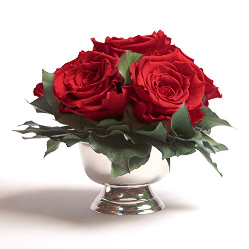 ROSEMARIE SCHULZ Heidelberg Infinity Blumenarrangement in silberfarbenen Schale 6 konservierte Rosen in Rot langhaltend (Rot, 6 Rosen) von ROSEMARIE SCHULZ Heidelberg