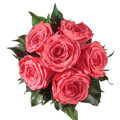 ROSEMARIE SCHULZ Heidelberg Infinity Blumenstrauß echte konservierte Rosen Lange haltbar bis zu 3 Jahre (6 Rosen, Korall) von ROSEMARIE SCHULZ Heidelberg
